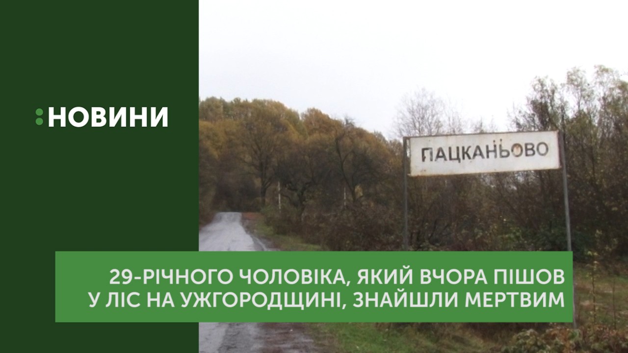 29-річного чоловіка, який вчора пішов у ліс по гриби на Ужгородщині, сьогодні знайшли мертвим